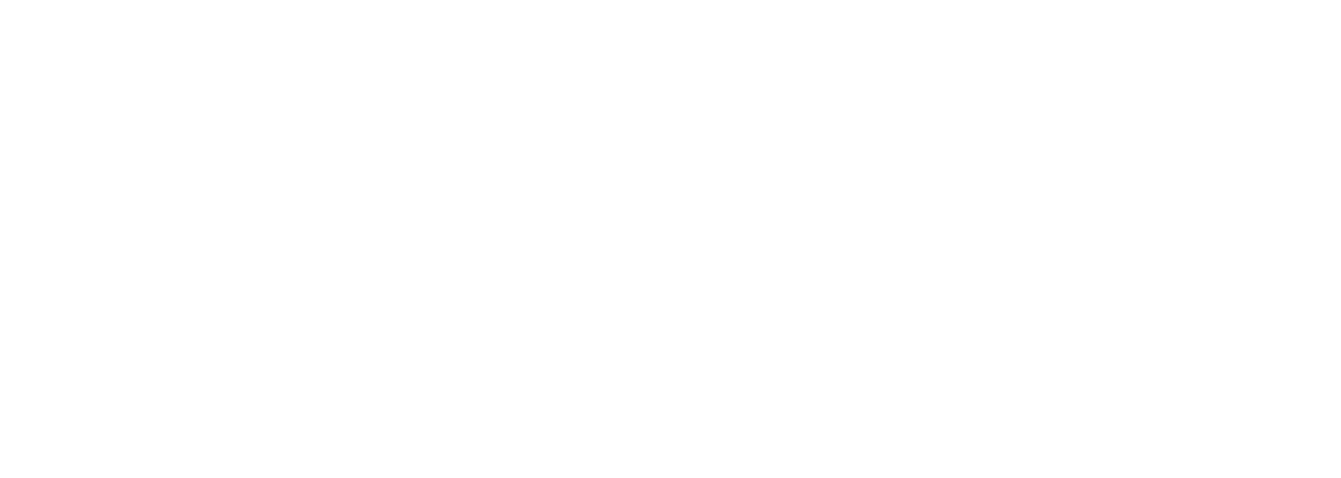 Naisus Transportation Inc. Naisus Transportation Inc.